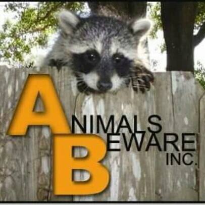 Animals Beware Inc